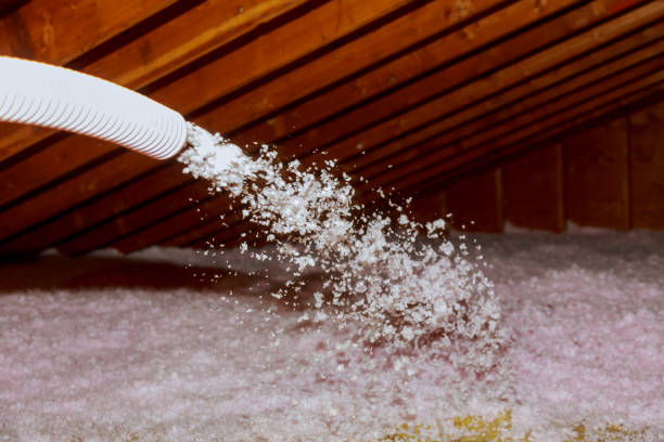 Best Insulation Installation Services in Ithaca, MI